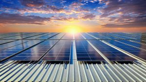 Plant solar