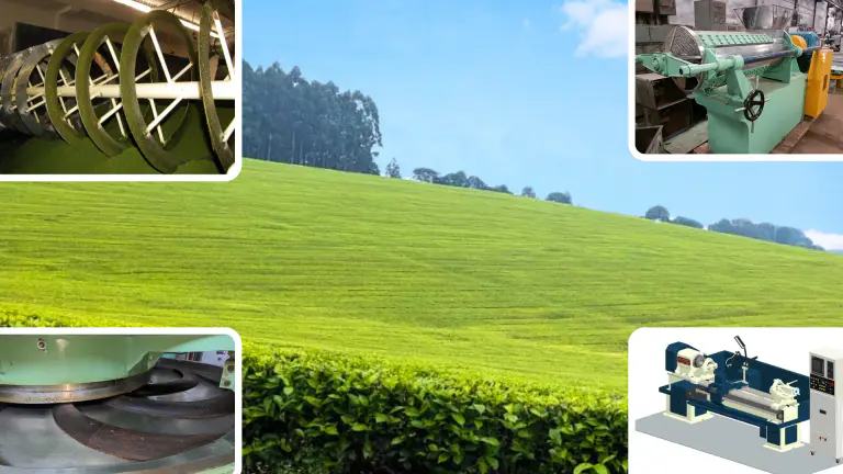 Tea Sector & Agro-Processing Automation